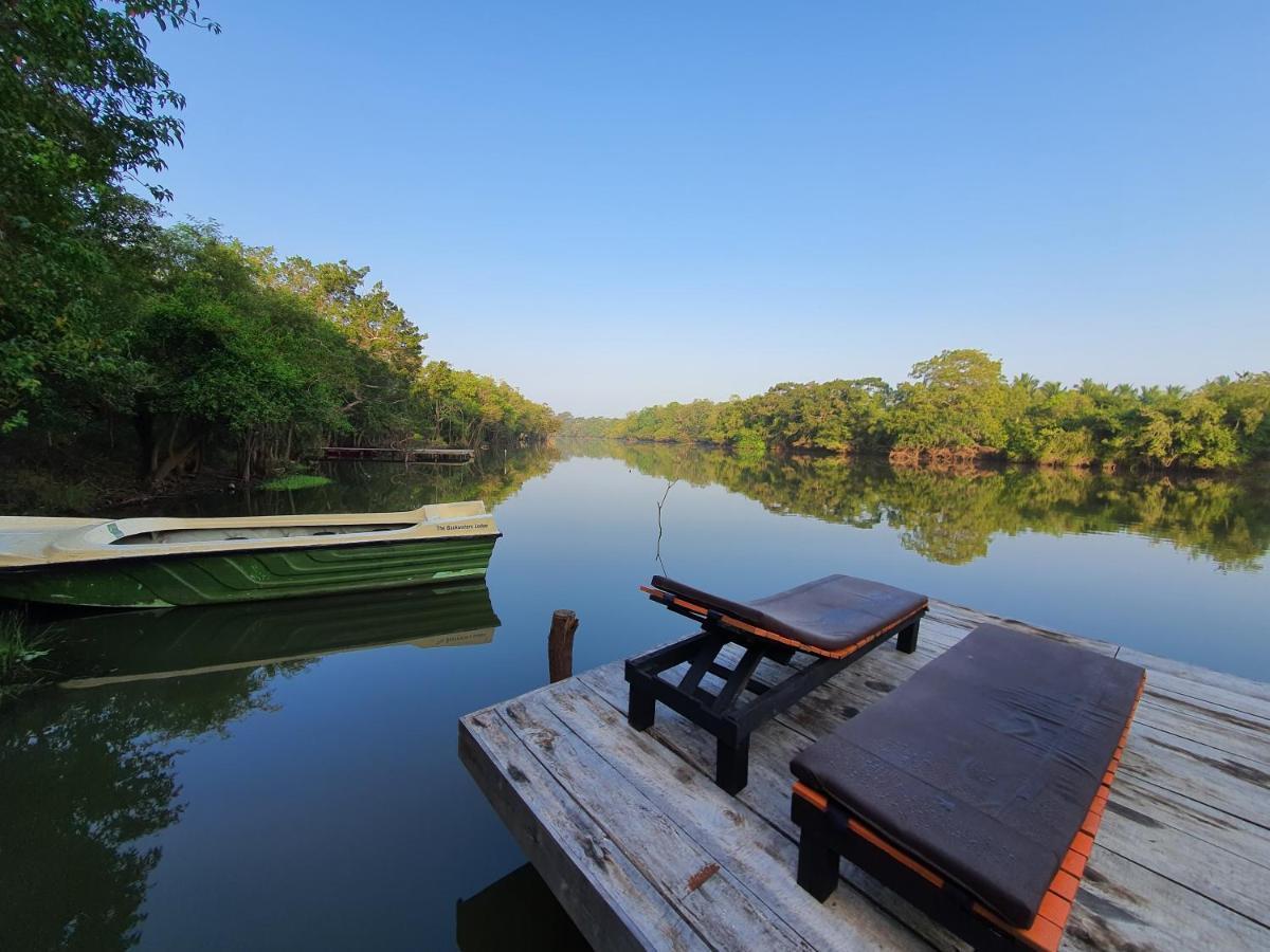 The Backwaters Lodge Wilpattu Exterior foto