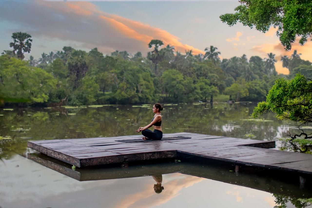 The Backwaters Lodge Wilpattu Exterior foto